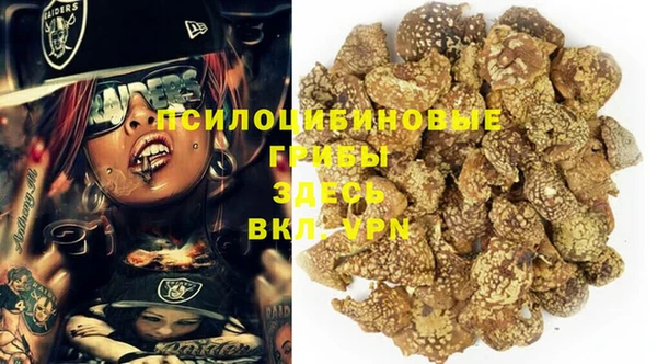 ешки Алексеевка
