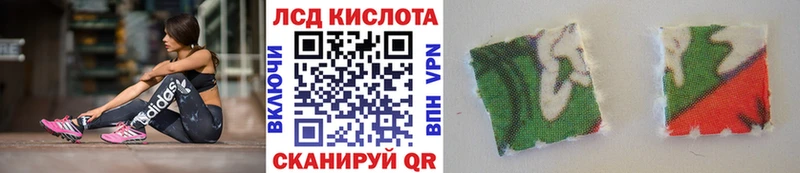 Марки NBOMe 1500мкг  Купить где  Черноголовка 