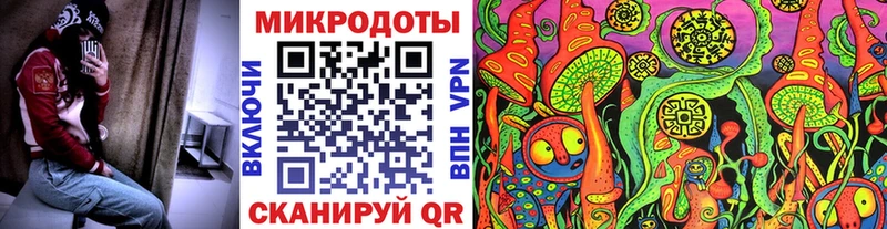 Купить где  Черноголовка  Псилоцибиновые грибы Magic Shrooms 